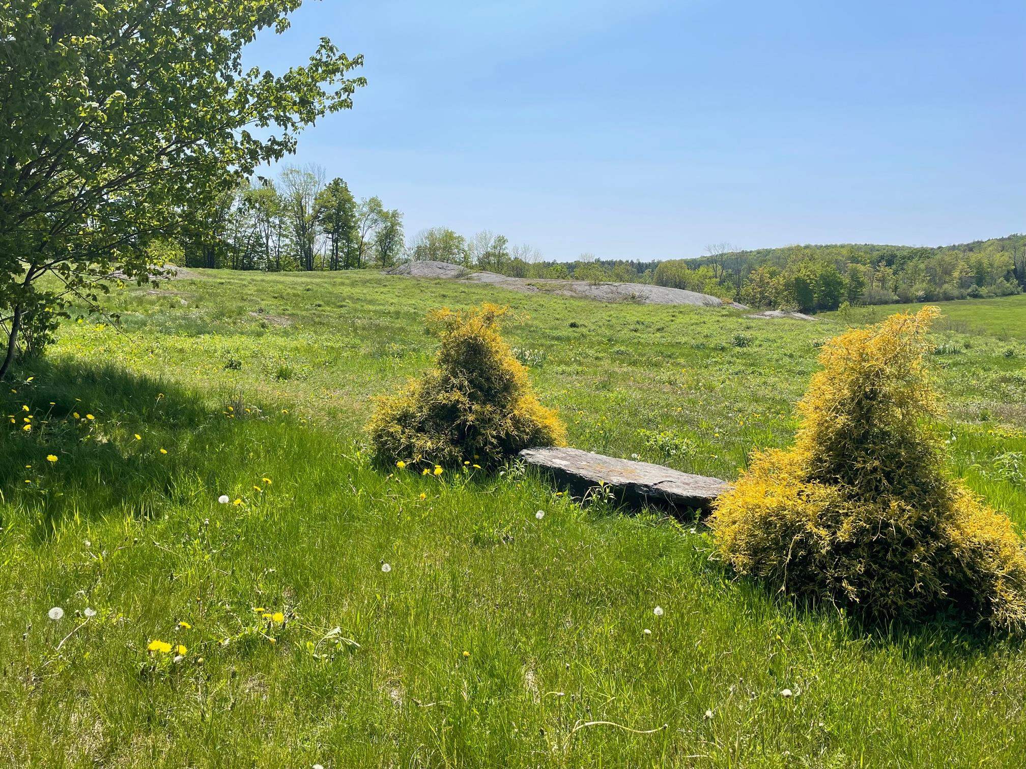 331 Old Codding Road Westminster, VT 05346 - Photo 22 of 26