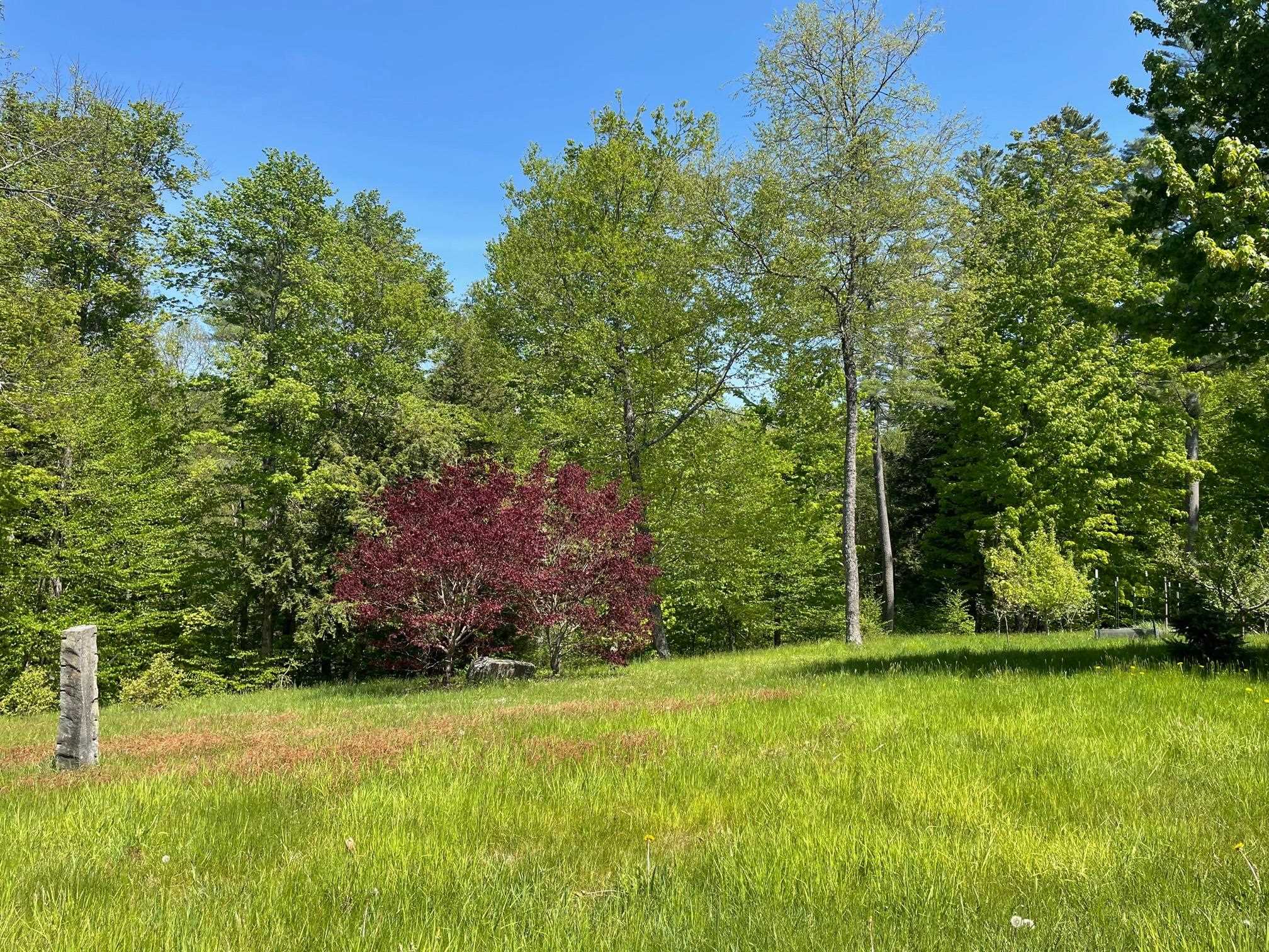 331 Old Codding Road Westminster, VT 05346 - Photo 23 of 26
