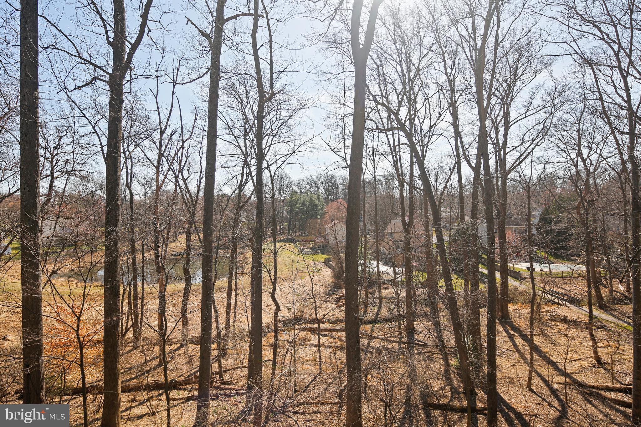 10033 Inkpen Place Ellicott City, MD 21042 - Photo 23 of 47