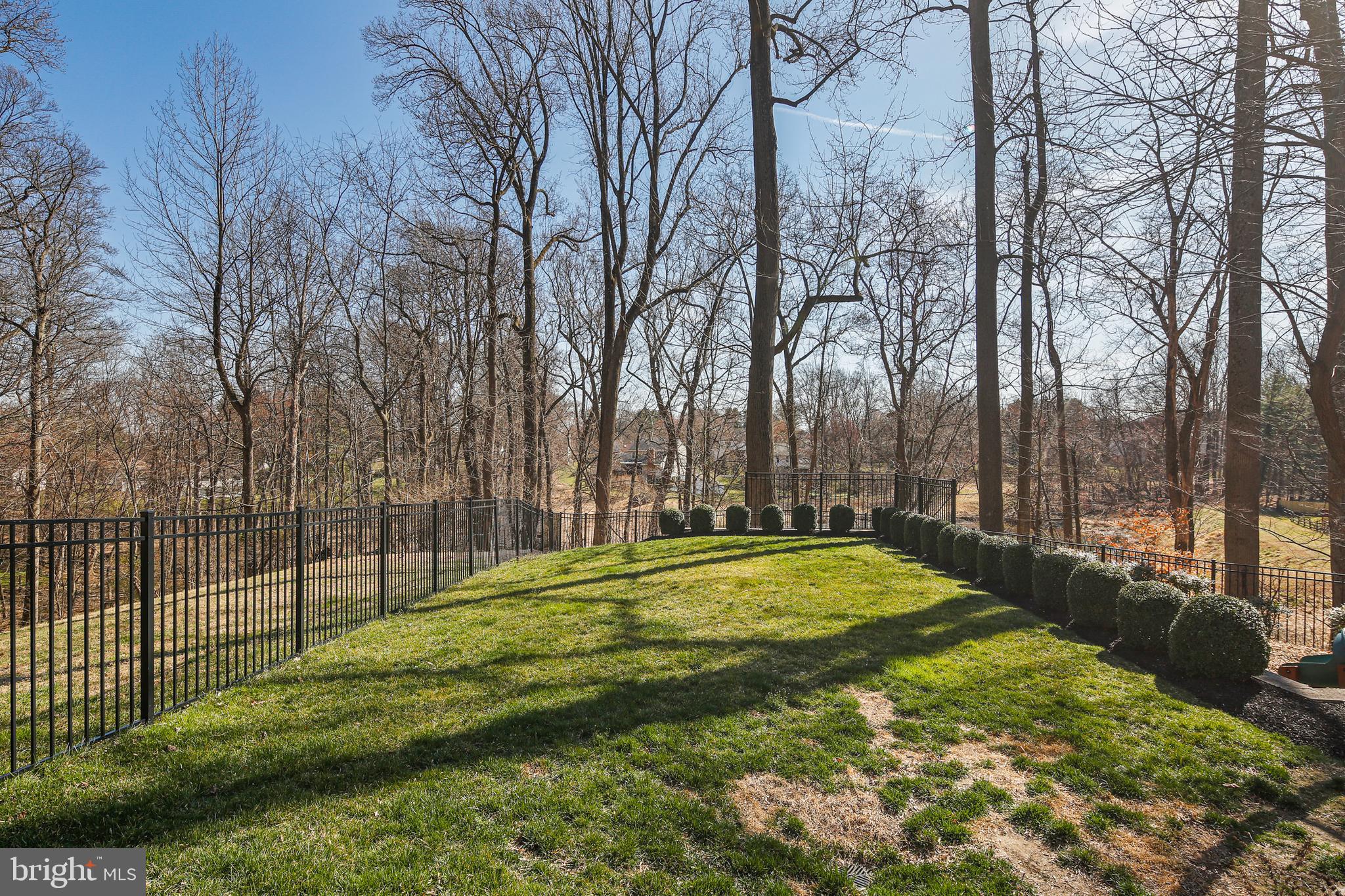 10033 Inkpen Place Ellicott City, MD 21042 - Photo 38 of 47 Rear Yard