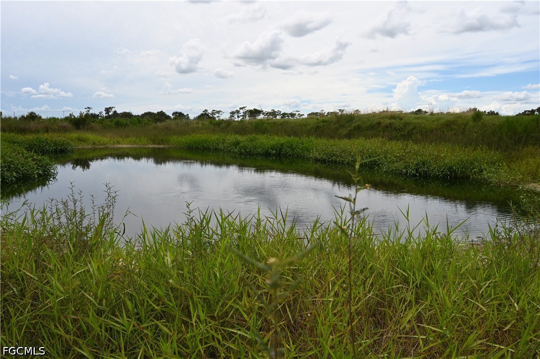 0 County Line Road East Bowling Green, FL 33834 - Photo 20 of 20
