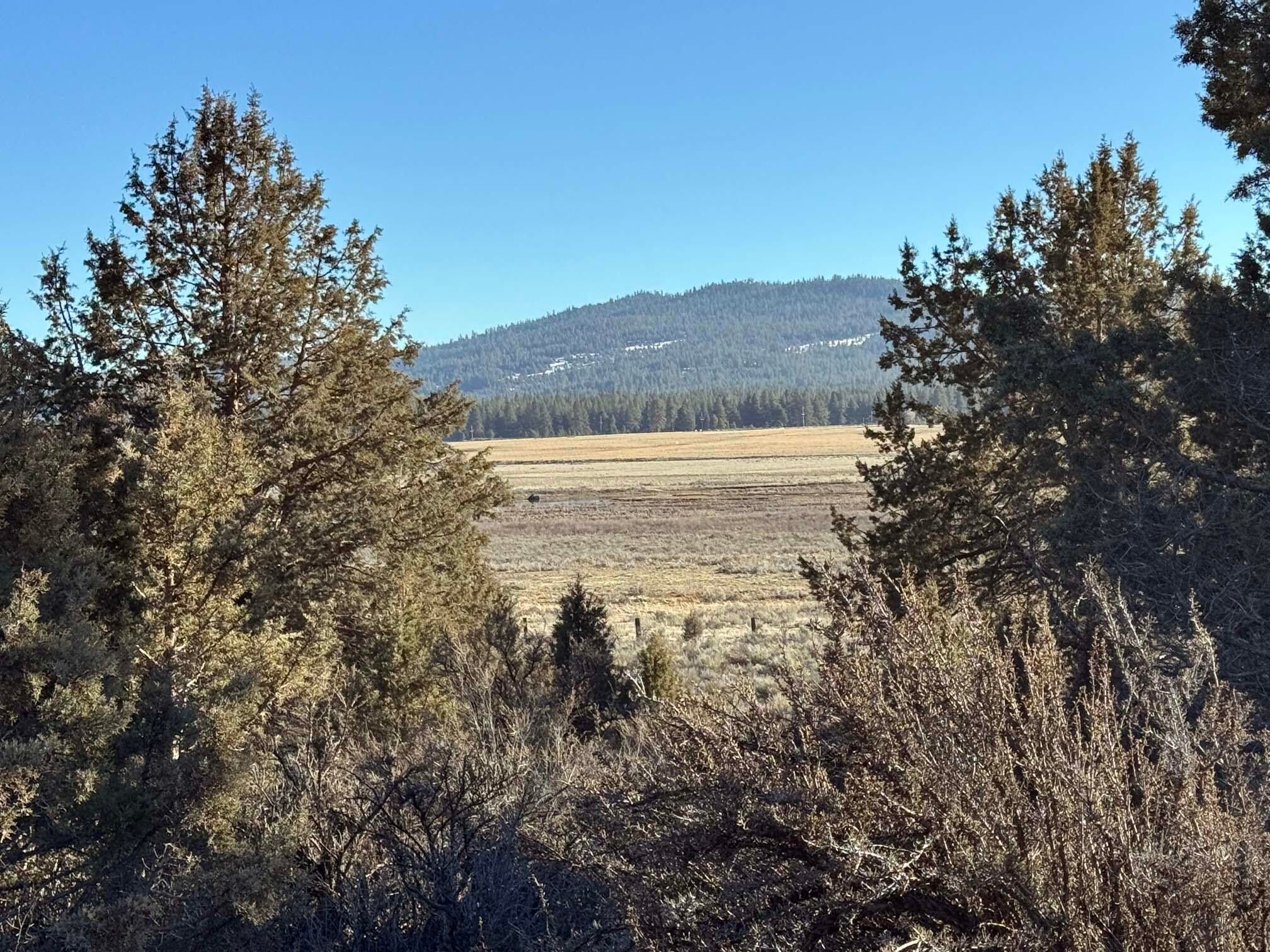Drews Road Chiloquin, OR 97624 - Photo 6 of 20 IMG_4984