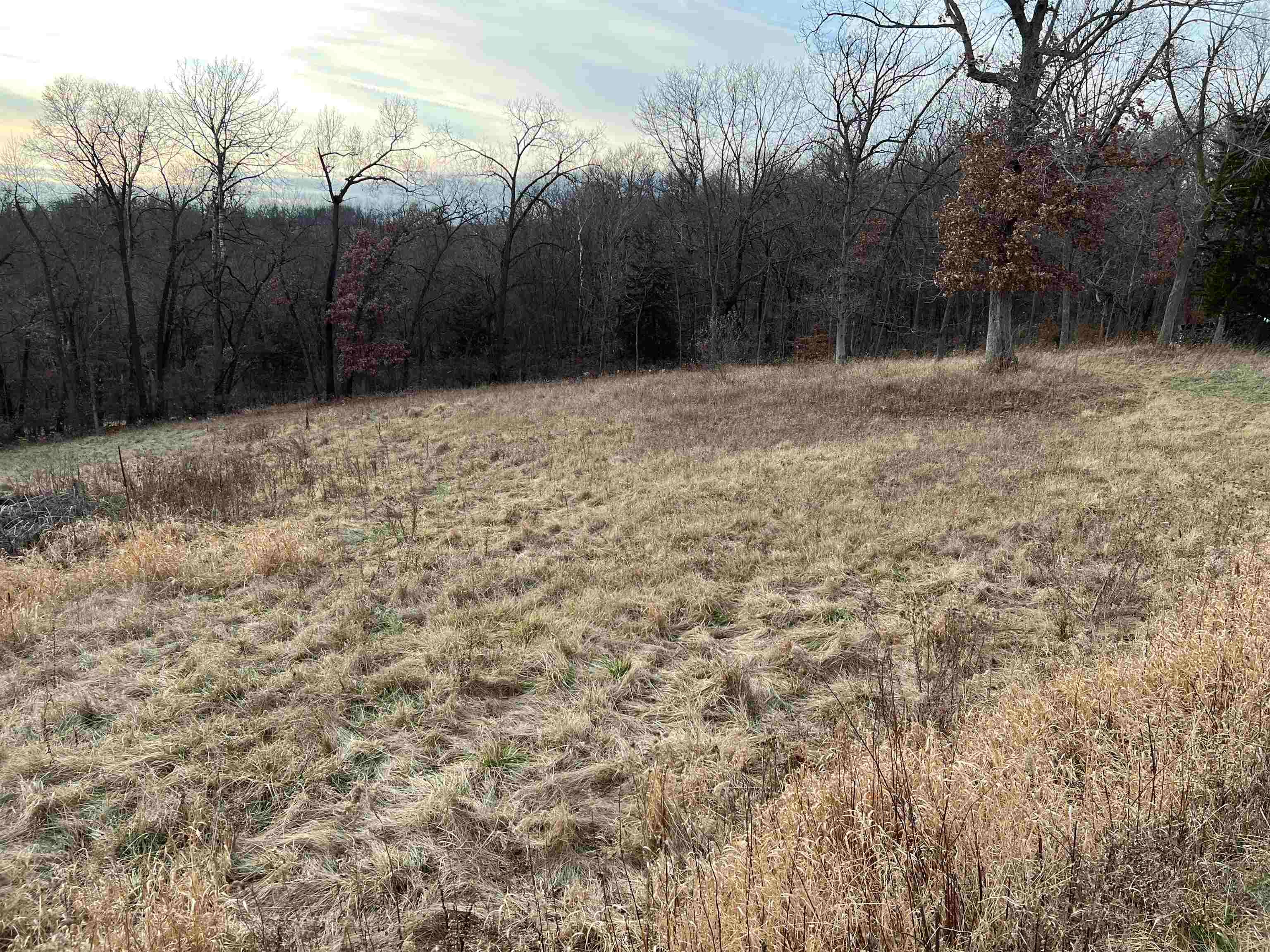 0 St Catherine Road Bellevue, IA 52031 - Photo 4 of 4 Gallery Image 4