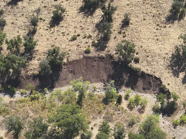 $249,000 | 11220 Yellow Dog Trail, Hornbrook, CA 96044