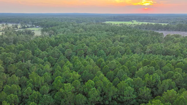 a view of a lush green outdoor space with a lake view