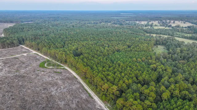 a view of a yard with a wooden fence