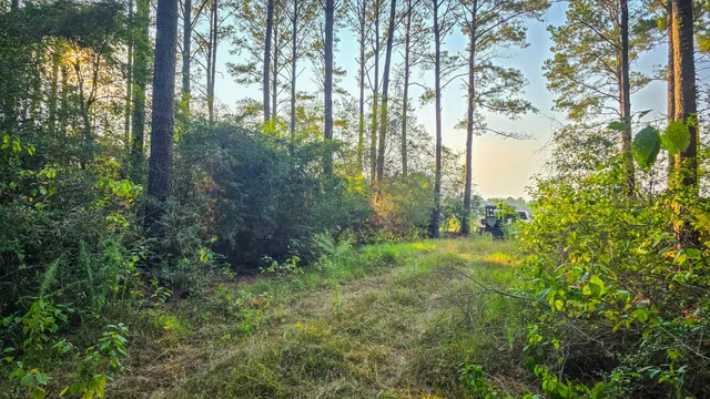 a view of backyard with green space