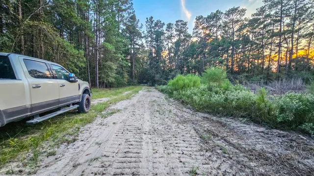 a view of a backyard with green space