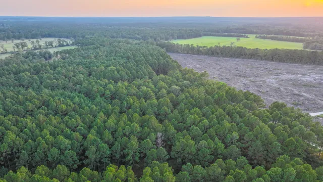a view of a field with a building in the background