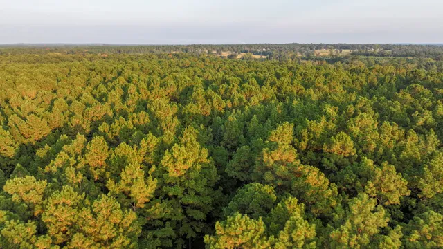 a view of a city with an outdoor space