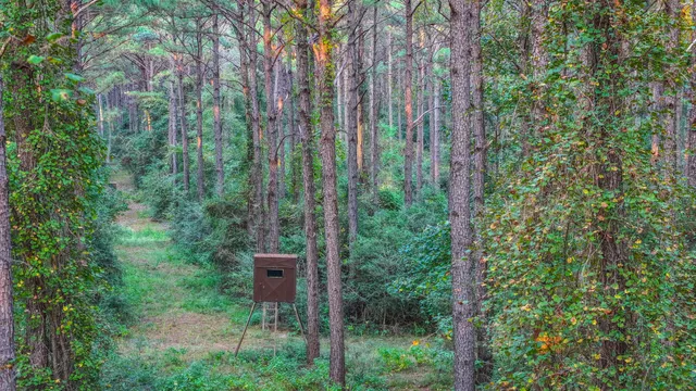 a view of an outdoor space and mountain view in back