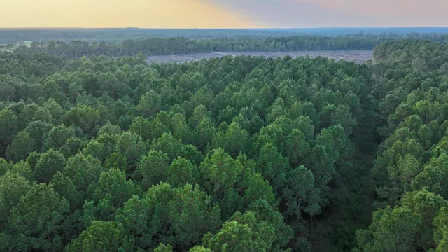 an aerial view of residential house with outdoor space and trees all around