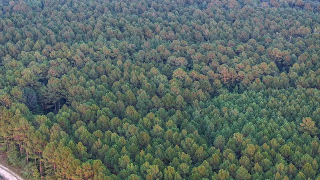 a view of an outdoor space and a yard