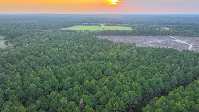 an aerial view of a yard