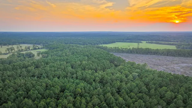 a view of a lush green outdoor space with a lake view