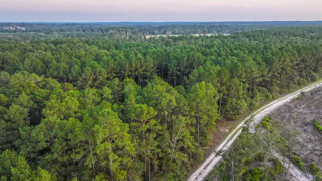 a view of a lush green outdoor space with a lake view