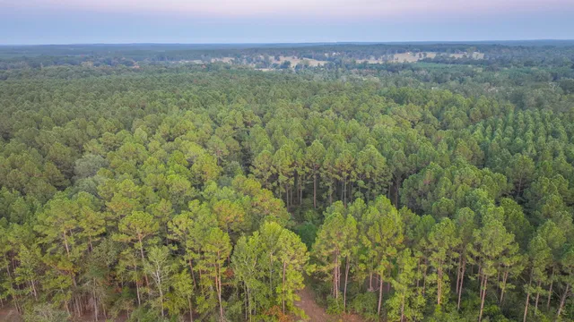 $598,500 | Tbd Carmona Road, Corrigan, TX 75939