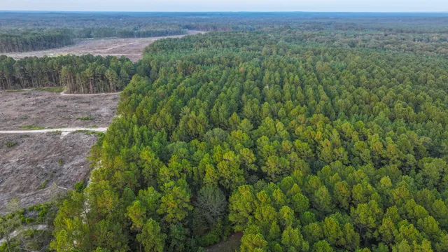 a view of a green field with lots of bushes