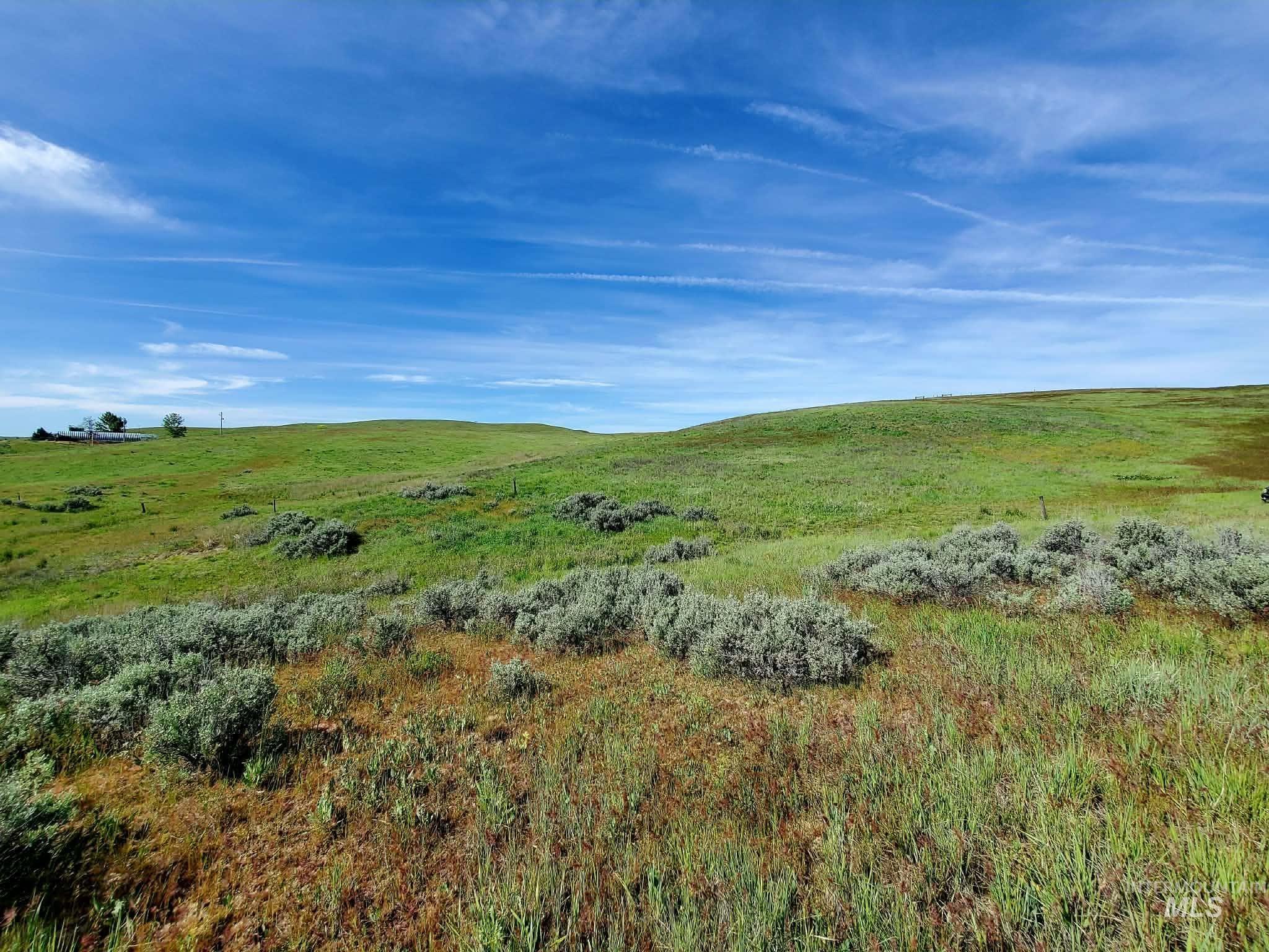 2216 Swisher Road Indian Valley, ID 83632 - Photo 9 of 47