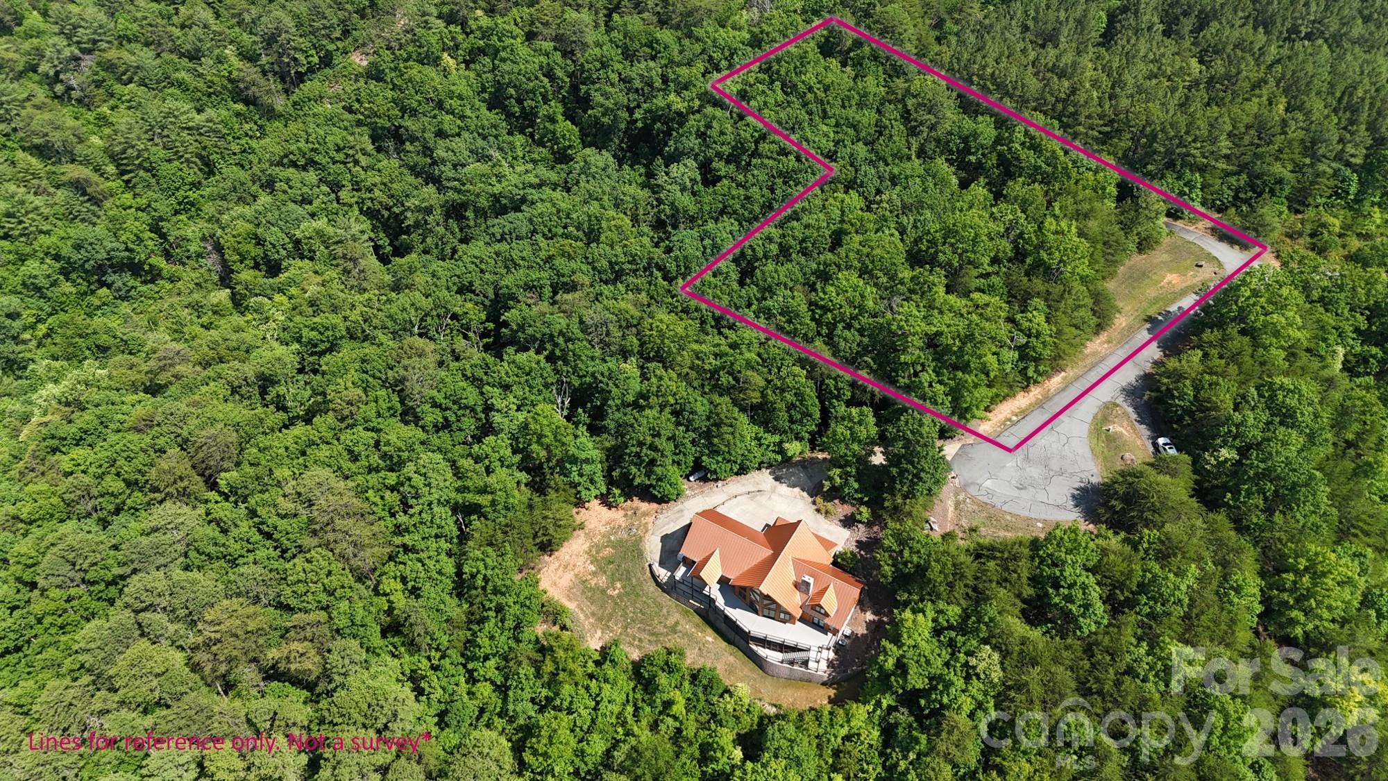0 Boulder Ridge, Unit 49 Lake Lure, NC 28746 - Photo 3 of 3