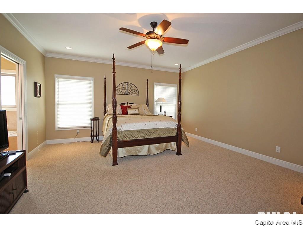 604 Catskill Drive Springfield, IL 62711 - Photo 16 of 28 Gallery Image 16