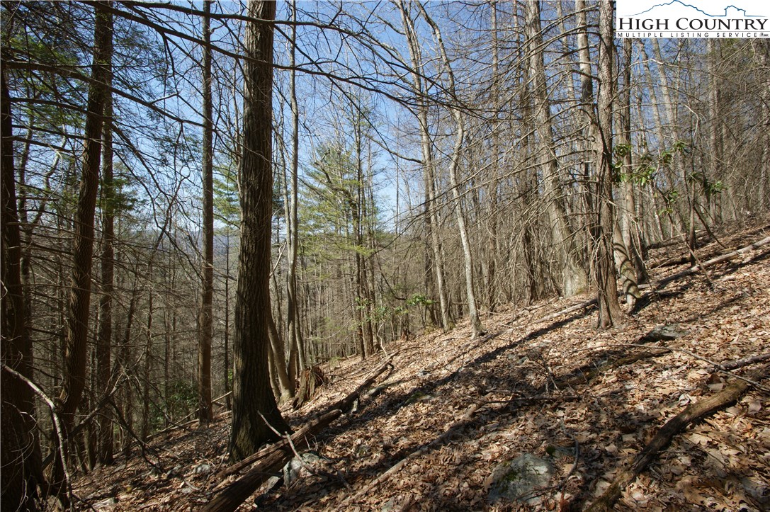 Peoria Road Sugar Grove, NC 28679 - Photo 3 of 11 Gallery Image 3