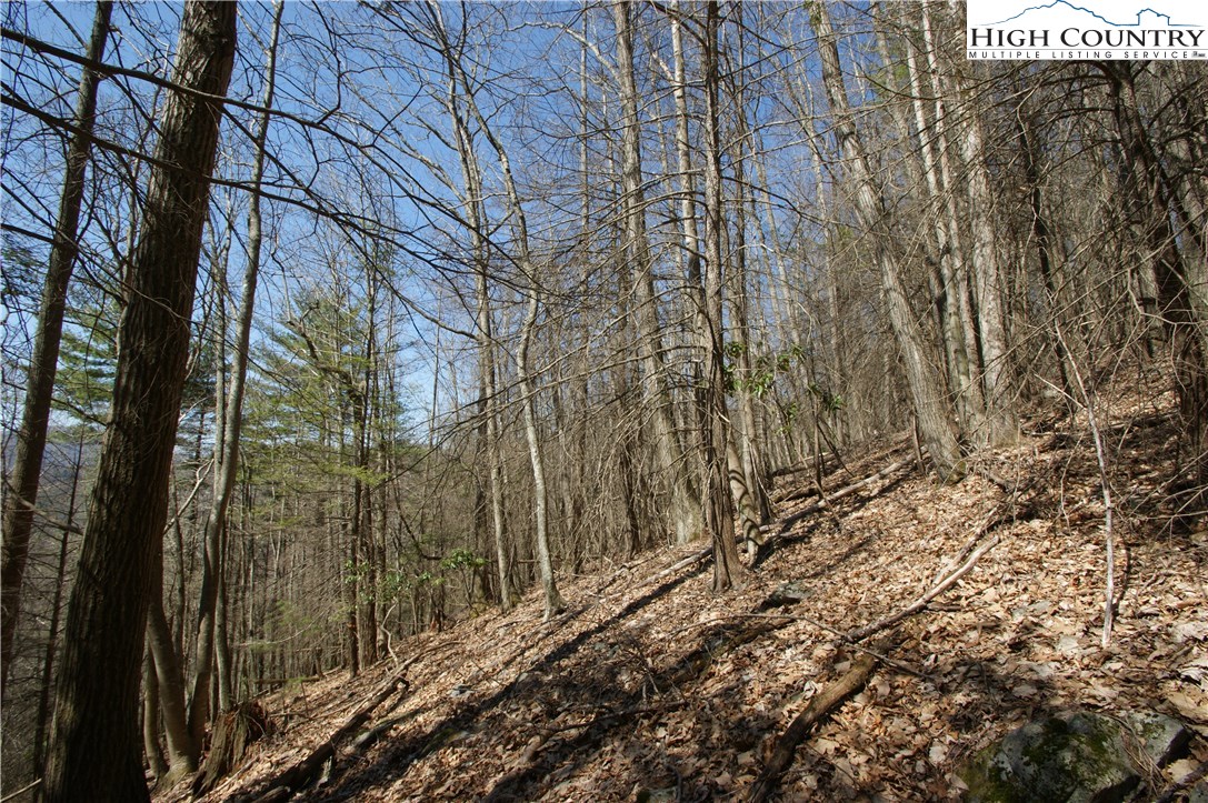 Peoria Road Sugar Grove, NC 28679 - Photo 4 of 11 Gallery Image 4
