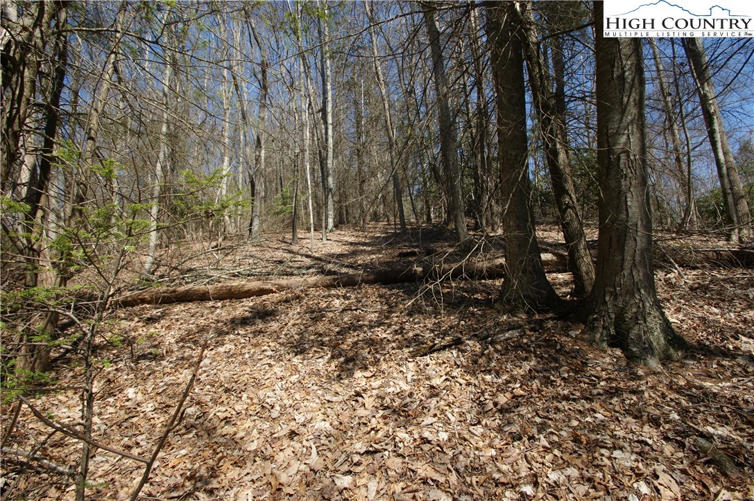 Peoria Road Sugar Grove, NC 28679 - Photo 6 of 11 Gallery Image 6