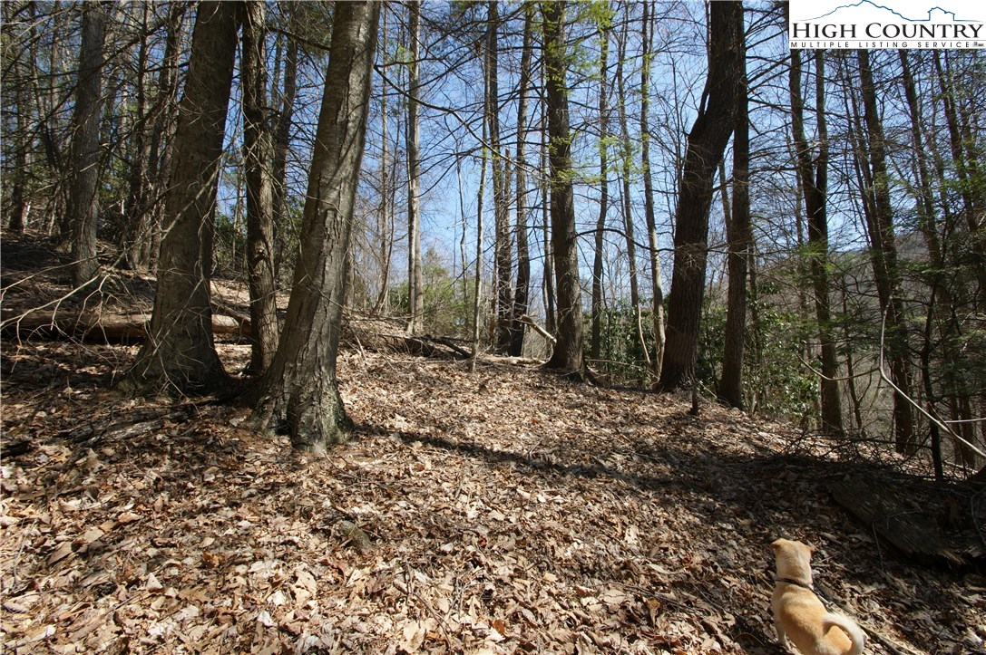 Peoria Road Sugar Grove, NC 28679 - Photo 7 of 11 Gallery Image 7