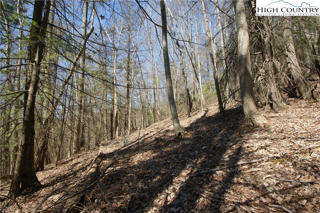 Peoria Road Sugar Grove, NC 28679 - Photo 8 of 11 Gallery Image 8