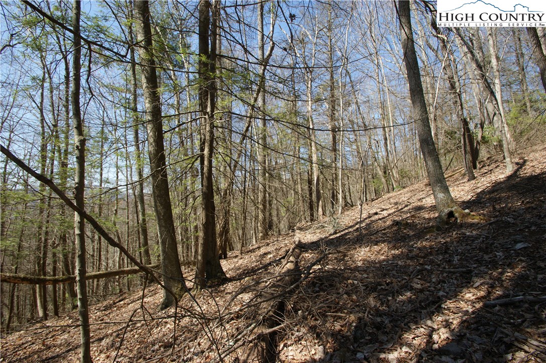 Peoria Road Sugar Grove, NC 28679 - Photo 9 of 11 Gallery Image 9
