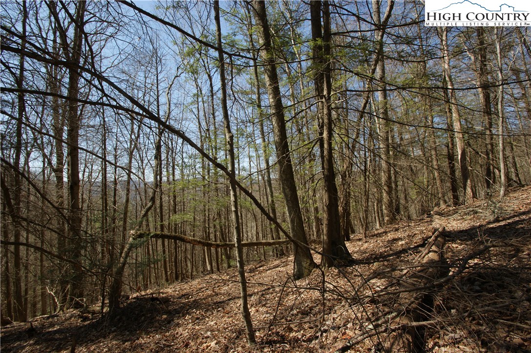 Peoria Road Sugar Grove, NC 28679 - Photo 10 of 11 Gallery Image 10
