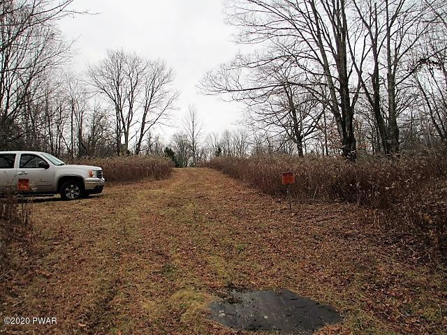 276 Goose Pond Road Lake Ariel, PA 18436 - Photo 11 of 11