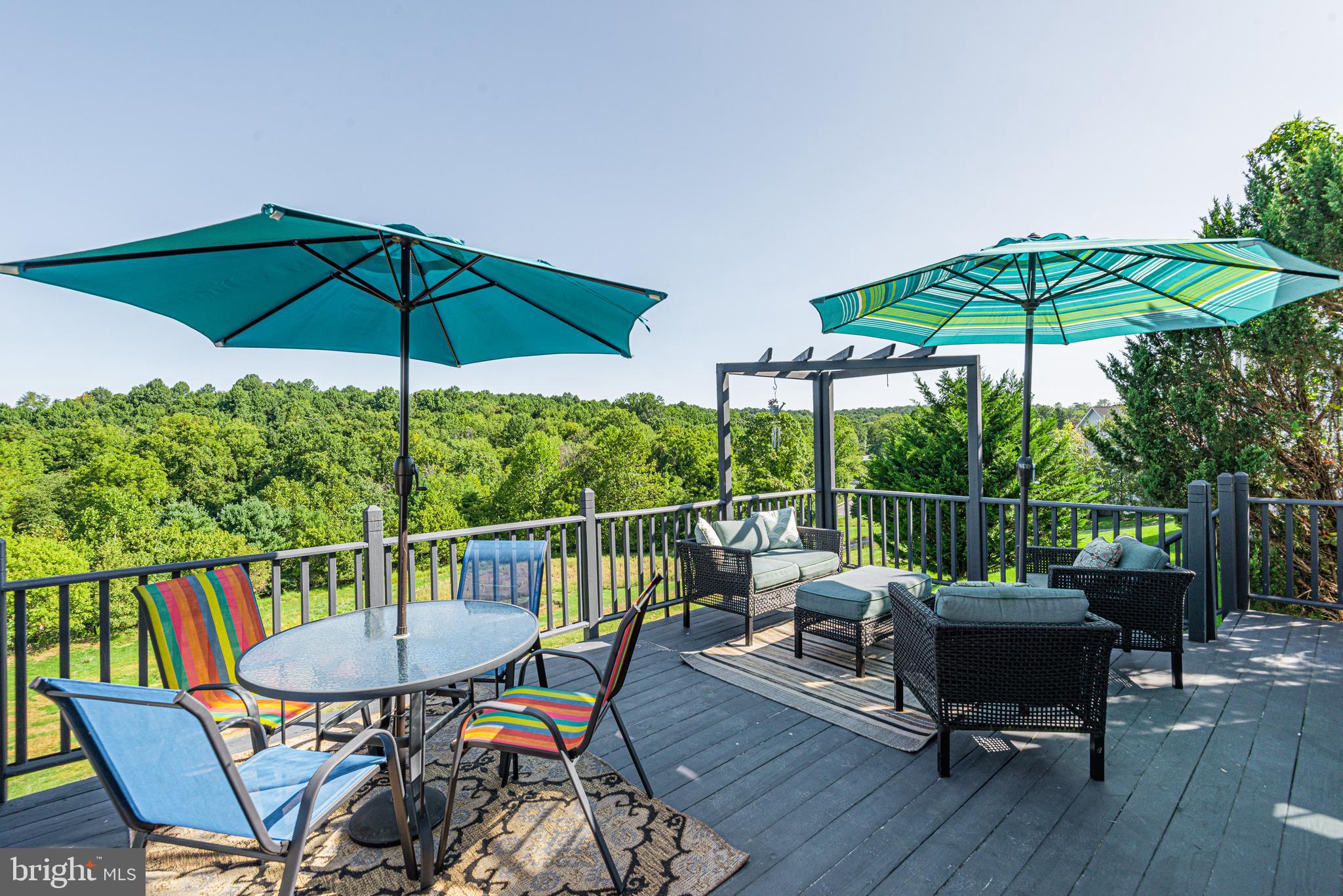 11004 Country Club Road New Market, MD 21774 - Photo 60 of 70 Gallery Image 60
