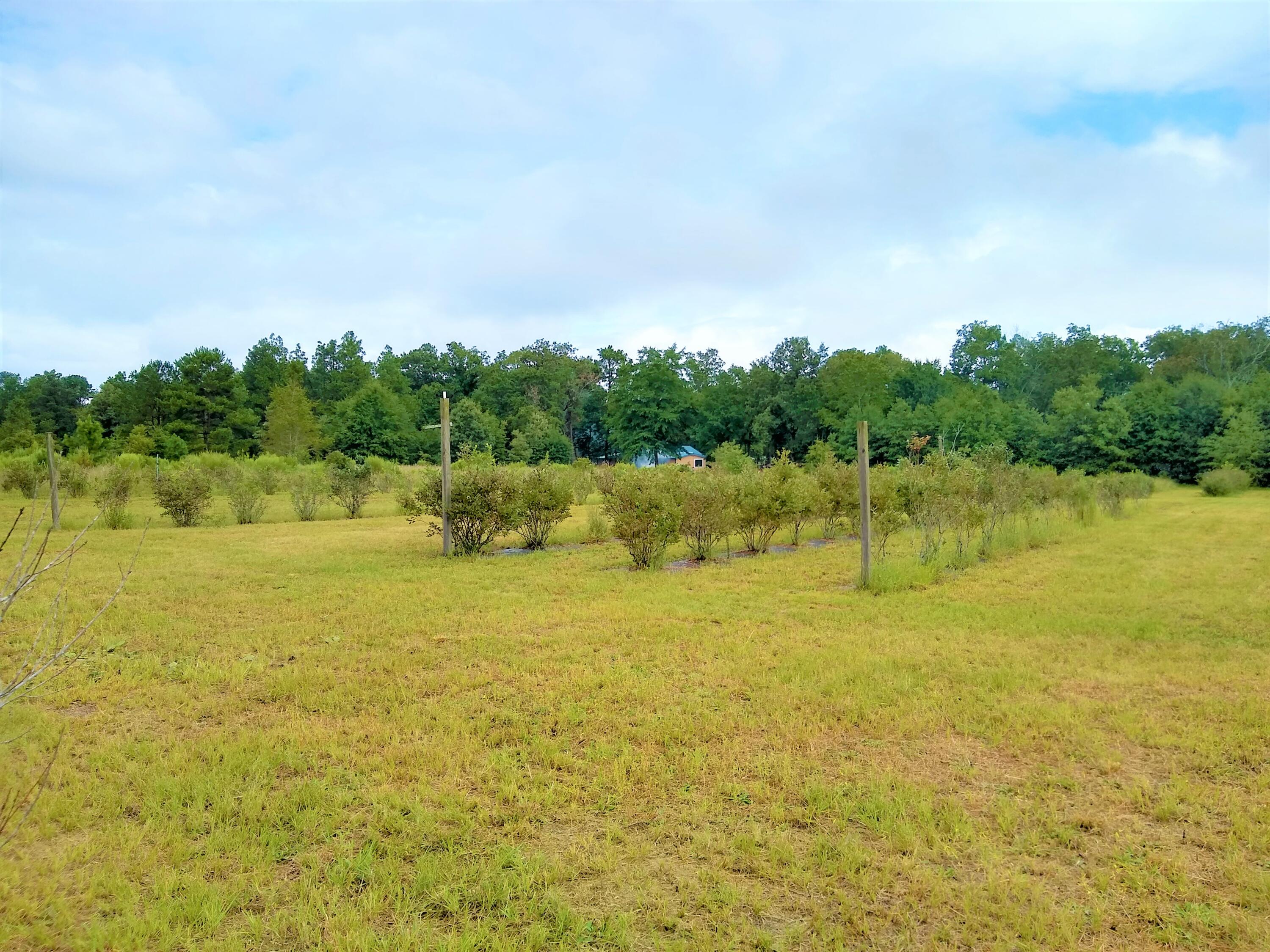 148 Graball Road Gaston, SC 29053 - Photo 16 of 16 IMG_20220905_104450490_HDR