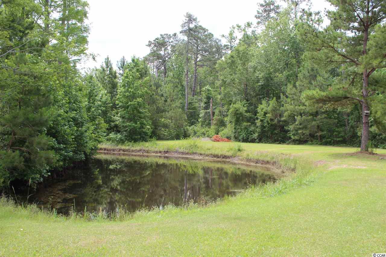 3161 State Rd S-26-777 Loris, SC 29569 - Photo 23 of 25 Gallery Image 23