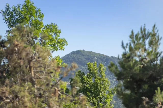 $3,358,000 | 19011 Clayton Avenue, Morgan Hill, CA 95037