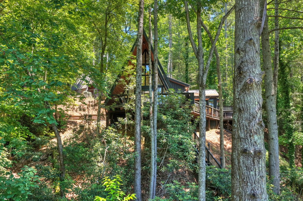 1027 Power Dam Road Blue Ridge, GA 30513 - Photo 84 of 84 Gallery Image 84