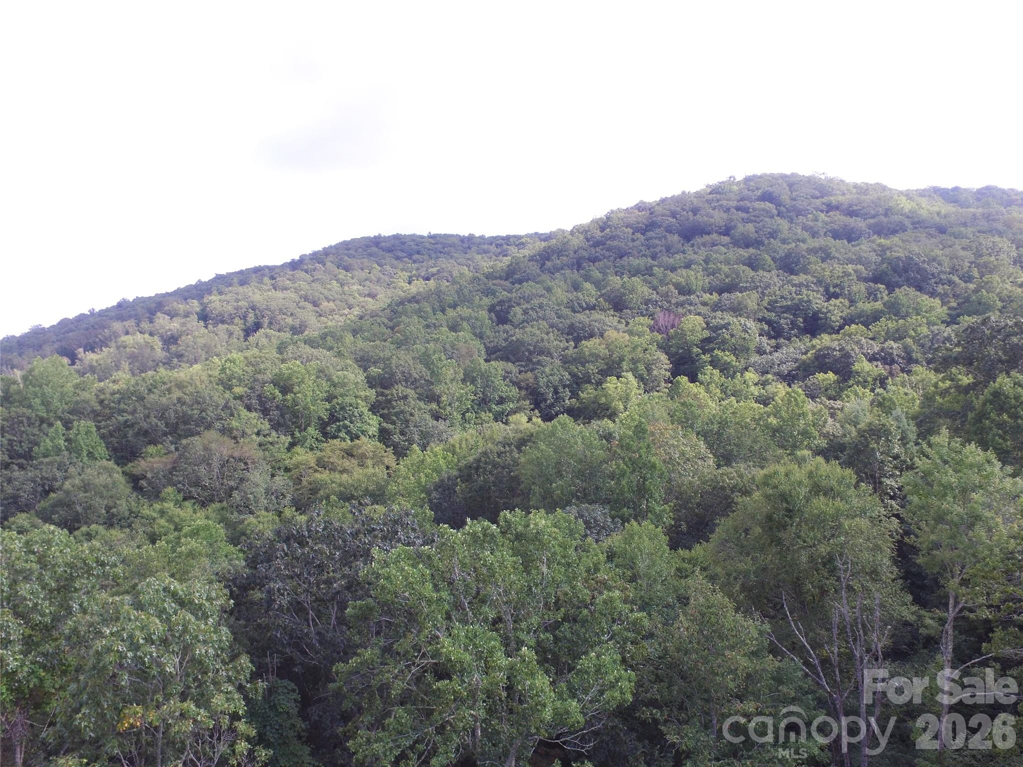 Tbd Pond Road Spruce Pine, NC 28777 - Photo 7 of 11 Gallery Image 7