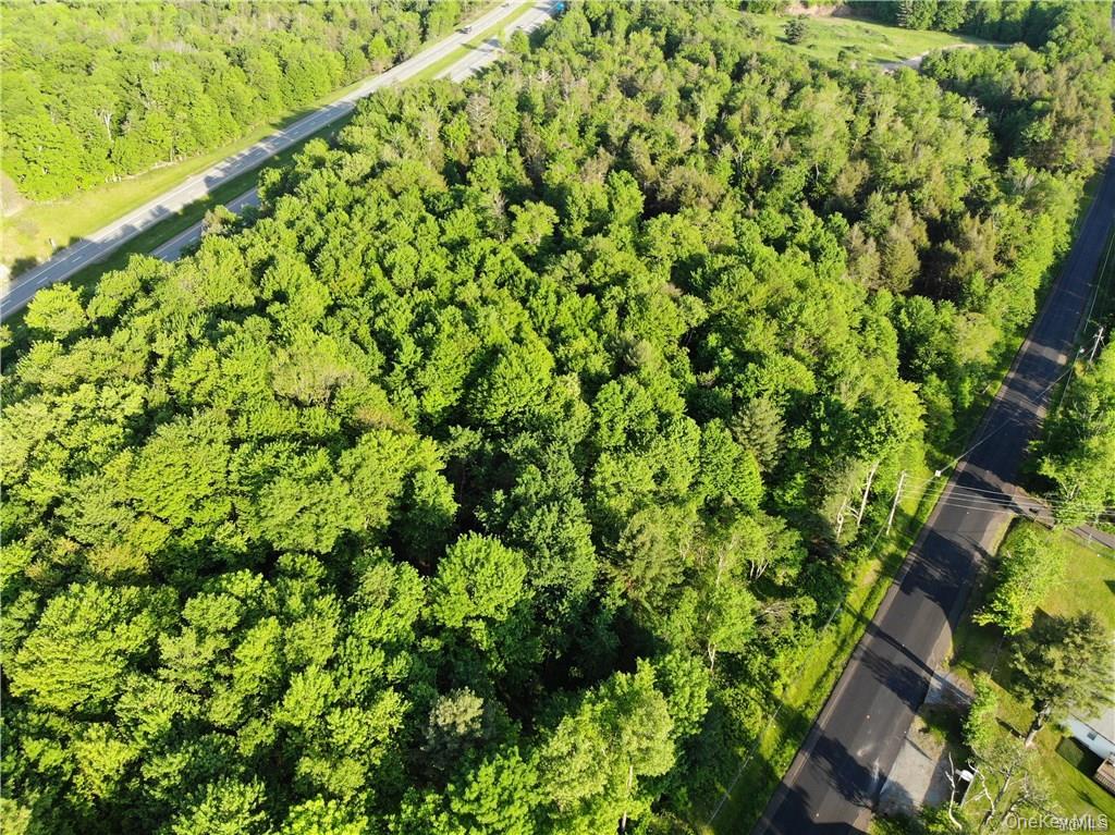 Lot 5.4 Kaufman Road Monticello, NY 12701 - Photo 22 of 45