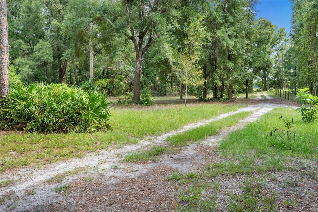 3749 Southwest 22nd Place Bell, FL 32619 - Photo 37 of 43