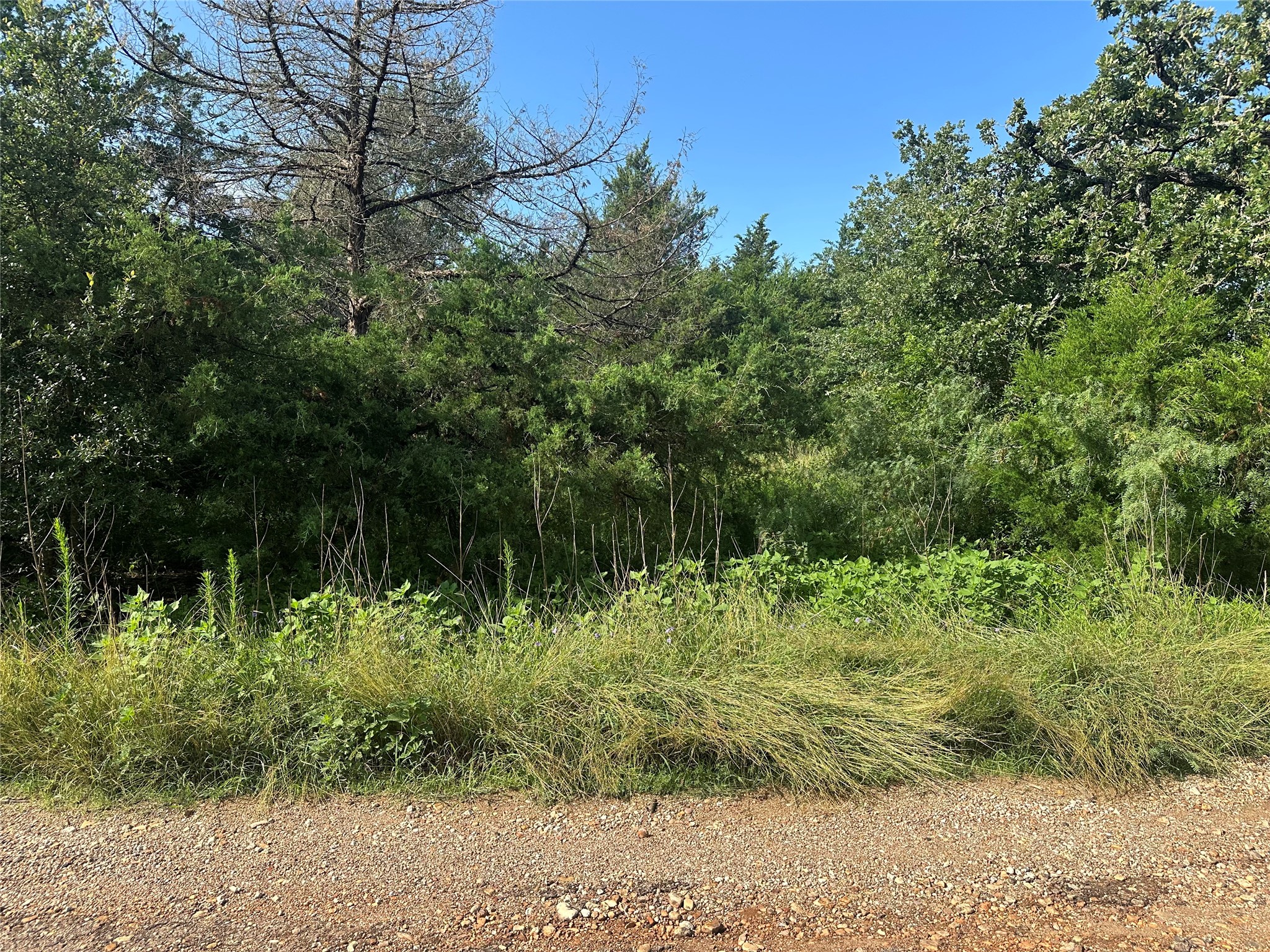 600 Blueberry Hill Road Somerville, TX 77879 - Photo 2 of 3 a view of outdoor space and a yard