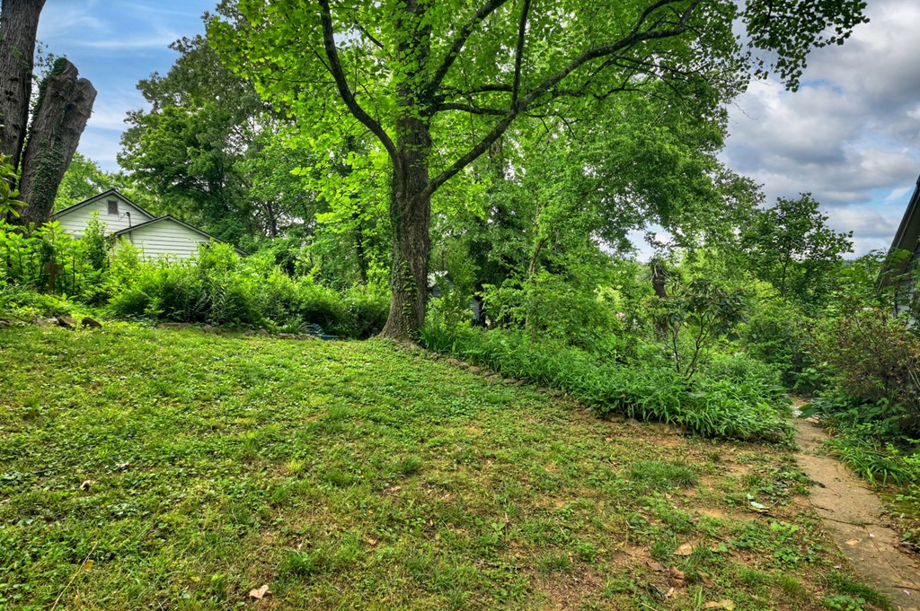142 1st Street Copperhill, TN 37317 - Photo 5 of 24