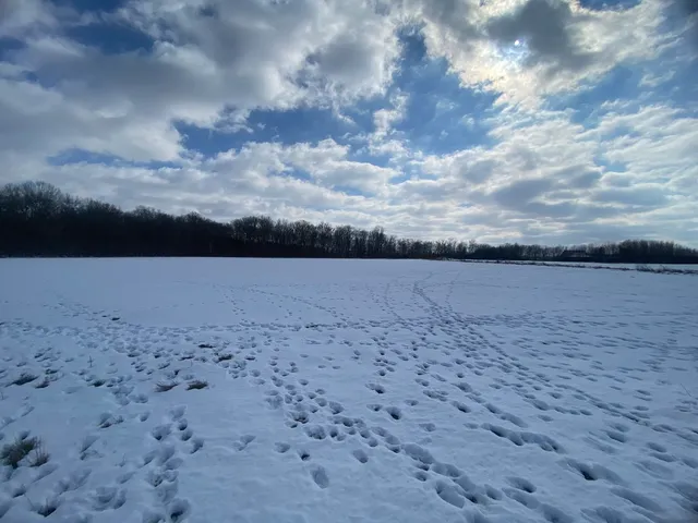 $106,000 | 0 Highway 14 East Highway, Macedonia, IL 62860