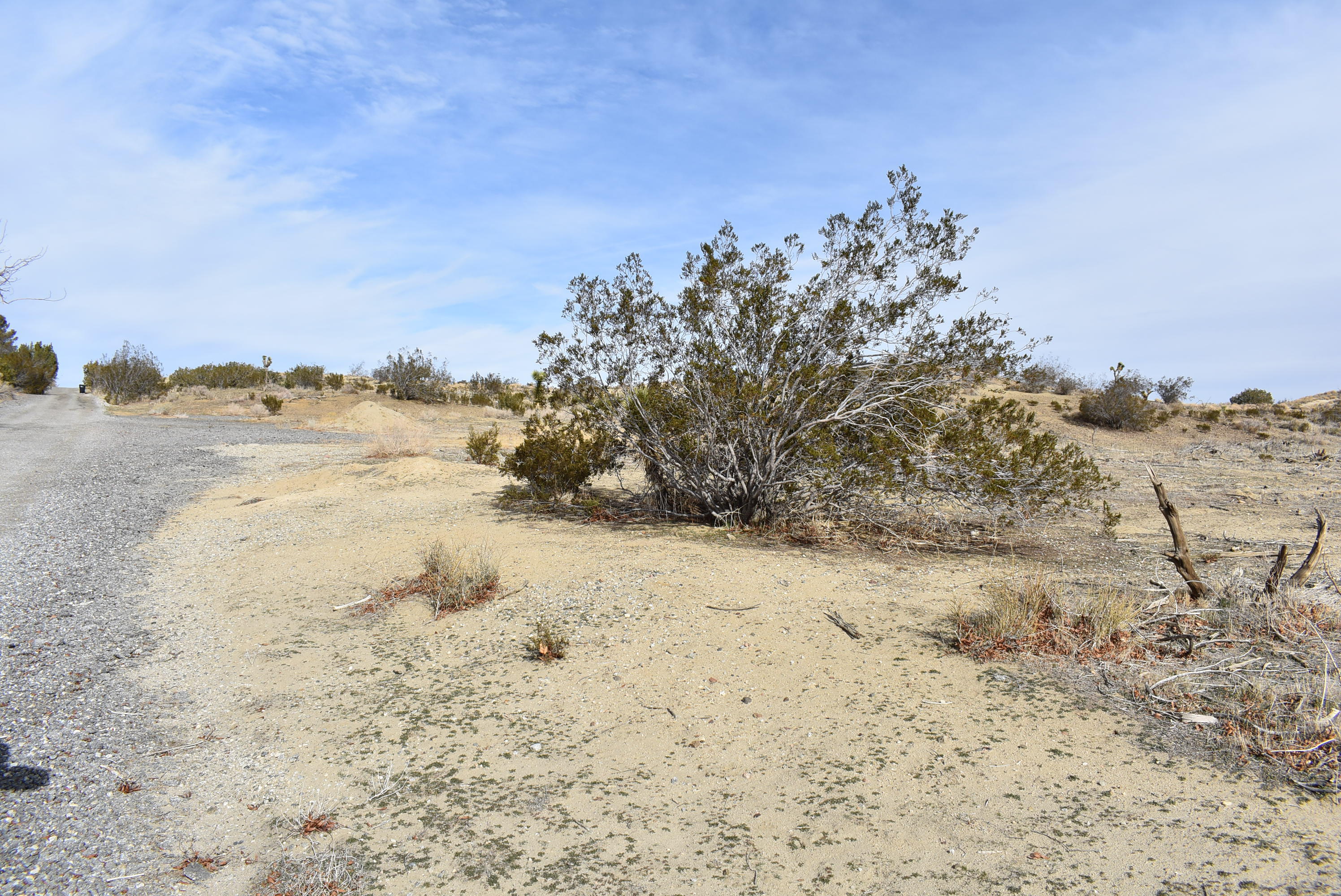 Barrel Springs Palmdale, CA 93552 - Photo 17 of 19 DSC_0734