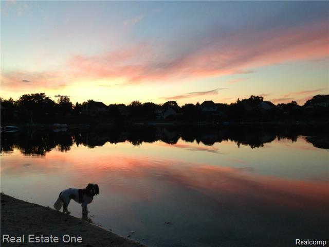 2133 Lakeside Road Troy, MI 48085 - Photo 55 of 55 luciesunset.jpg