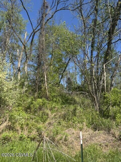 Front Street Danville, PA 17821 - Photo 16 of 30