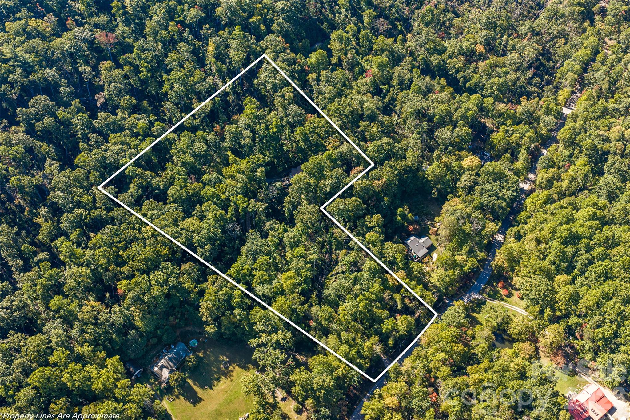 918 Long Branch Road Swannanoa, NC 28778 - Photo 43 of 46 Gallery Image 43