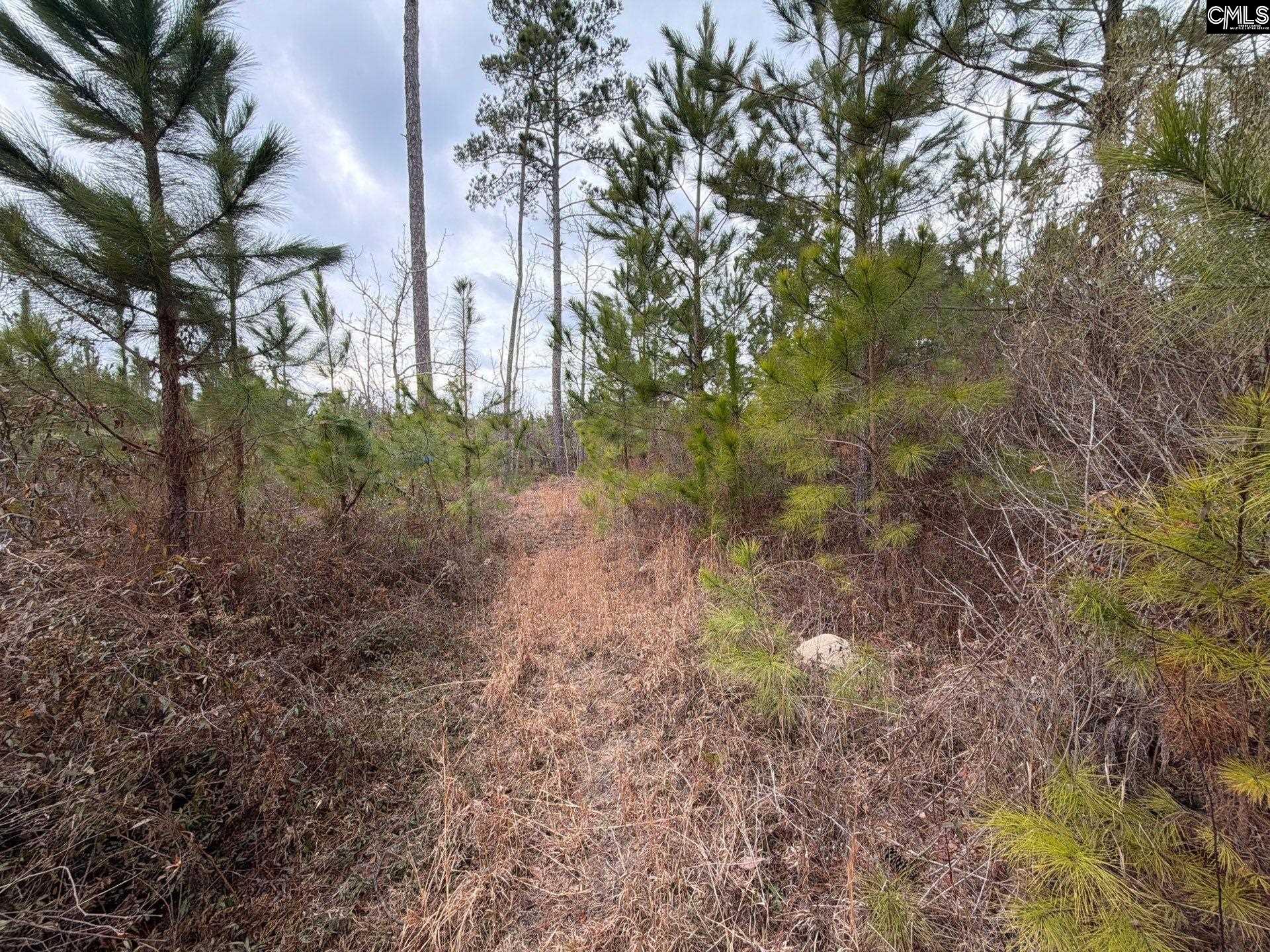 3 Jc Barefoot Road, Unit BFF II 3 Patrick, SC 29584 - Photo 18 of 23
