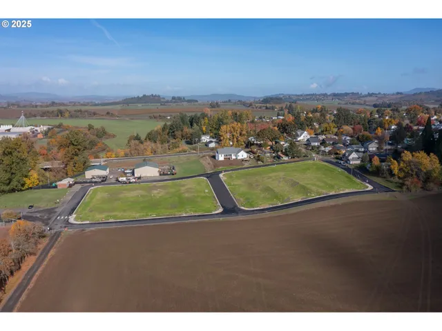 an aerial view of a residential houses with outdoor space and river